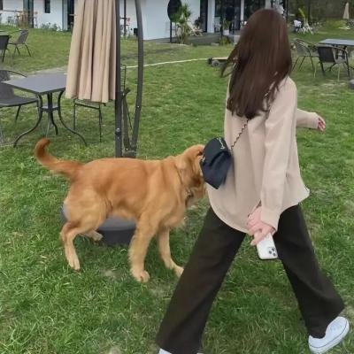 天使的堕落